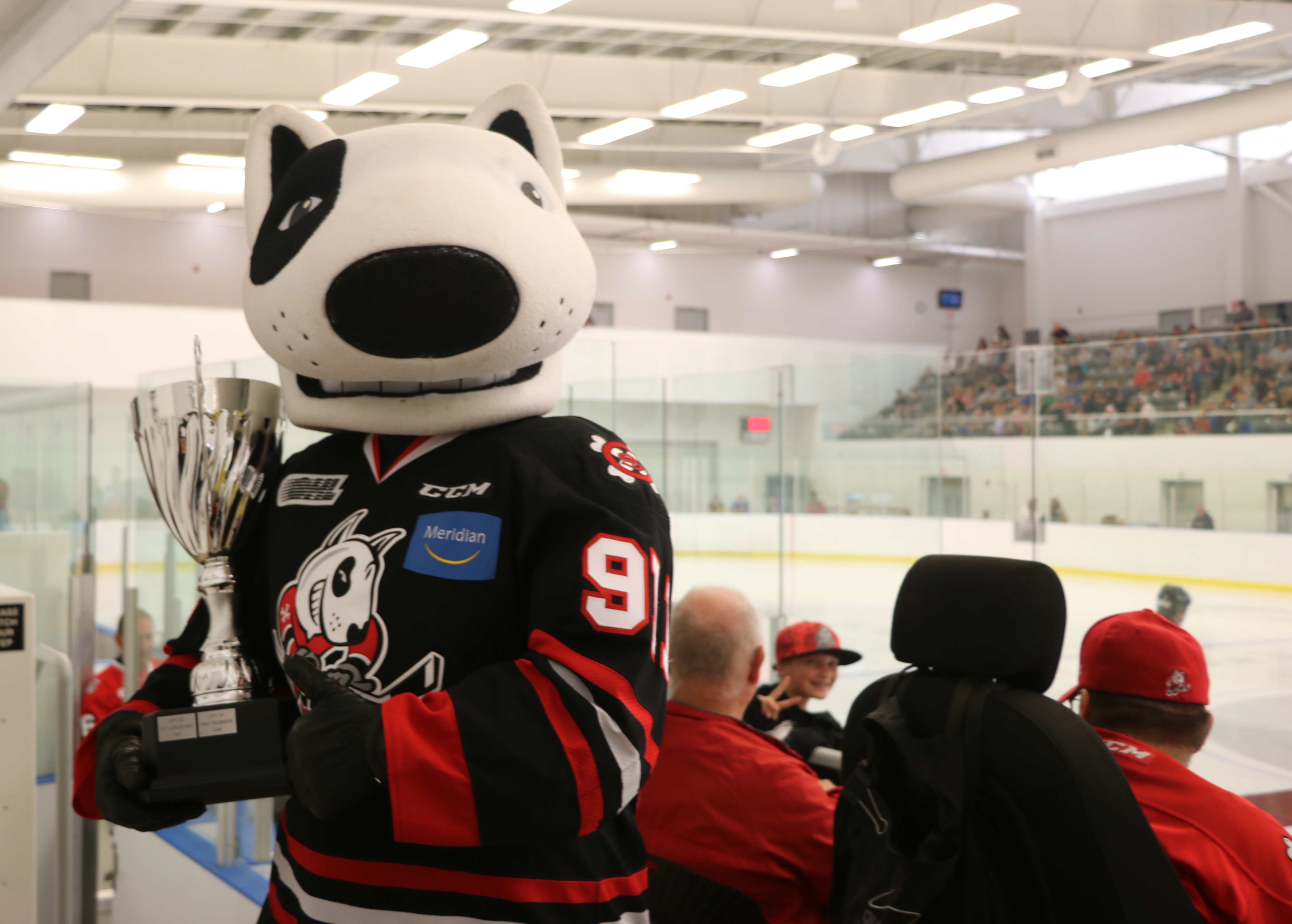 Bones the IceDogs Mascot